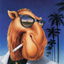 CAMEL