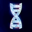 DNA