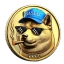 BDOGE