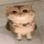 YARNCAT
