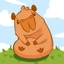 CAPY