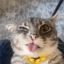 RIGBY