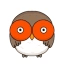 HOOT