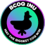 BCOQ