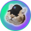 SOLCAT