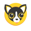 HUAHUA