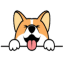CORGI