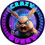 CRAZYBUNNY