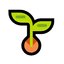 CSEED