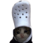 CROC