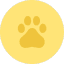 DXCT