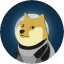 DOGE1