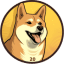 DOGE20