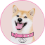DOGEGF