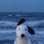 DOUG