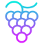 GRAPE