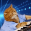 KEYCAT