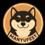 MFEST