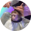 MONK