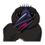 NITEFEEDER