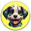 PONGO