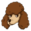 POODL