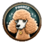 POODLE
