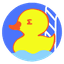 QUACKS