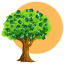 TREES