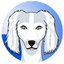 SALUKI