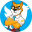 SHIBCEO
