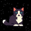 SPACECAT