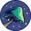 SPORE