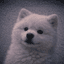 UMI