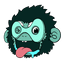 YEETI