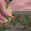 The Harvest by littlecakes